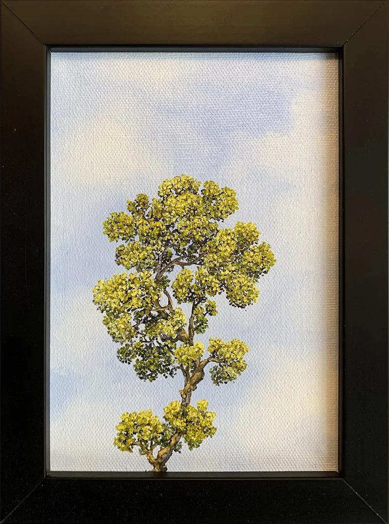 Adam Hayward, "Larimar", Oil on Canvas, 7 x 5 inches, $275