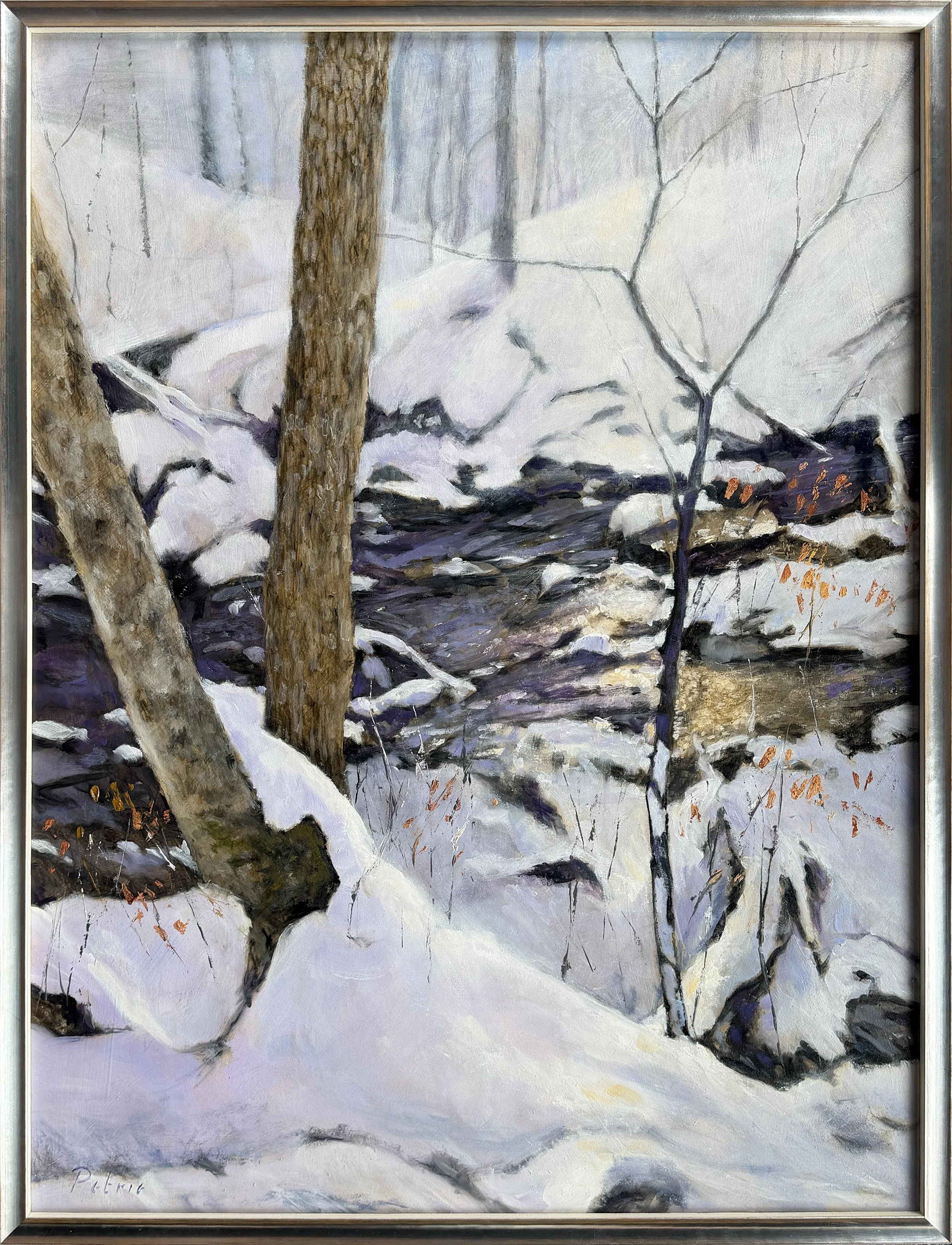 Petrie.Winter.DH5262.jpg
