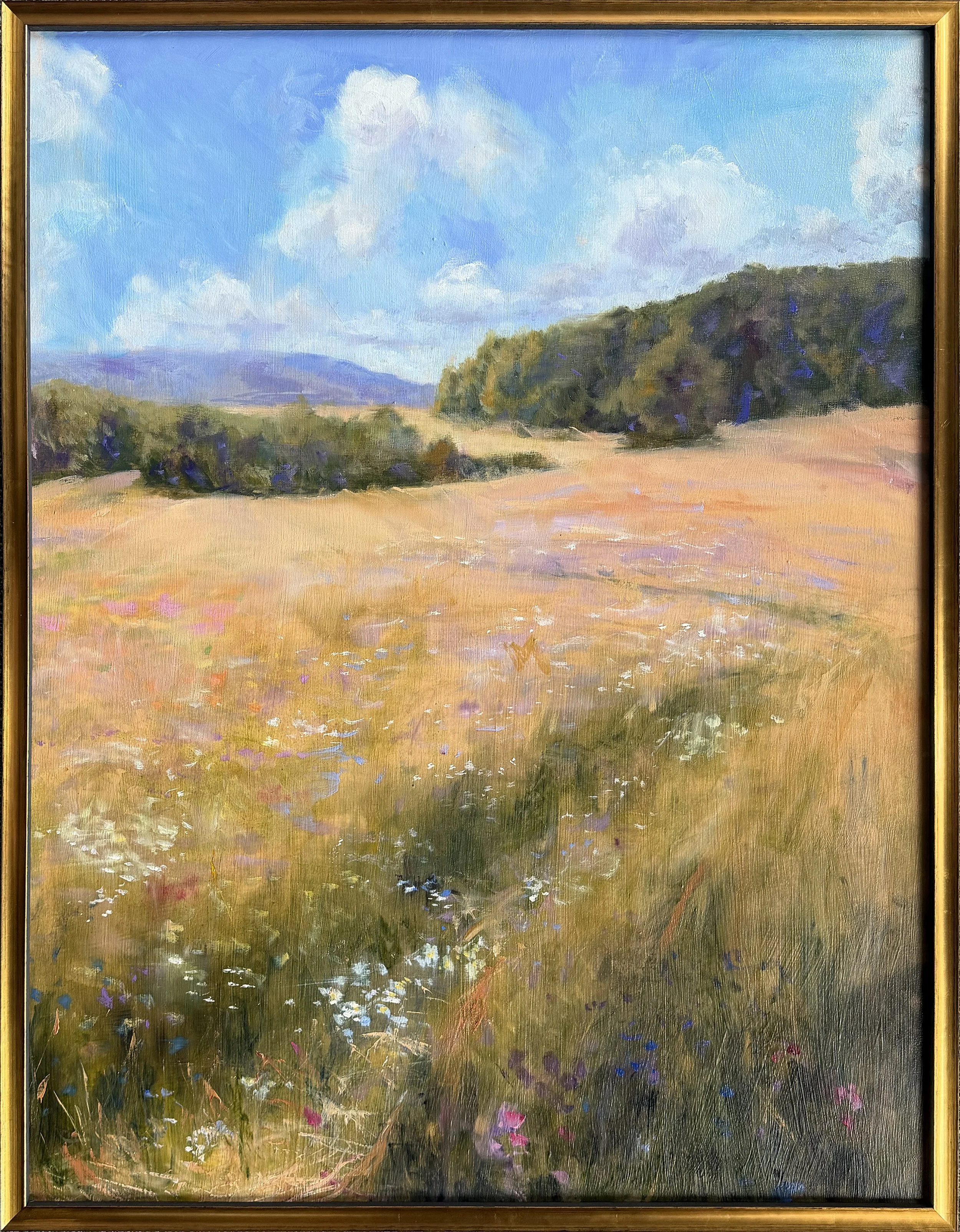 Petrie.Meadow.DH5263.jpg