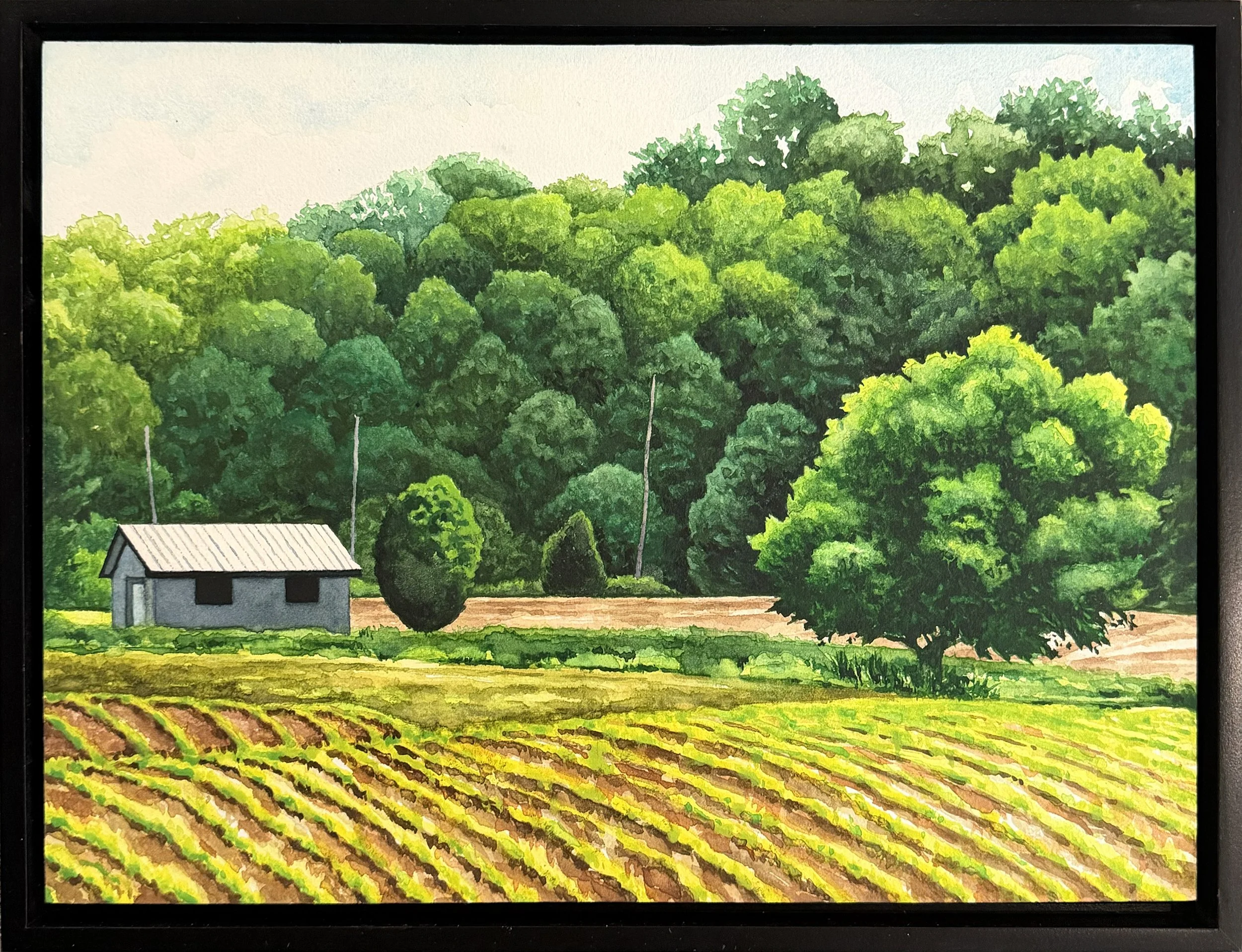 Kelly.HarveysburgBarn.DH5269.jpg