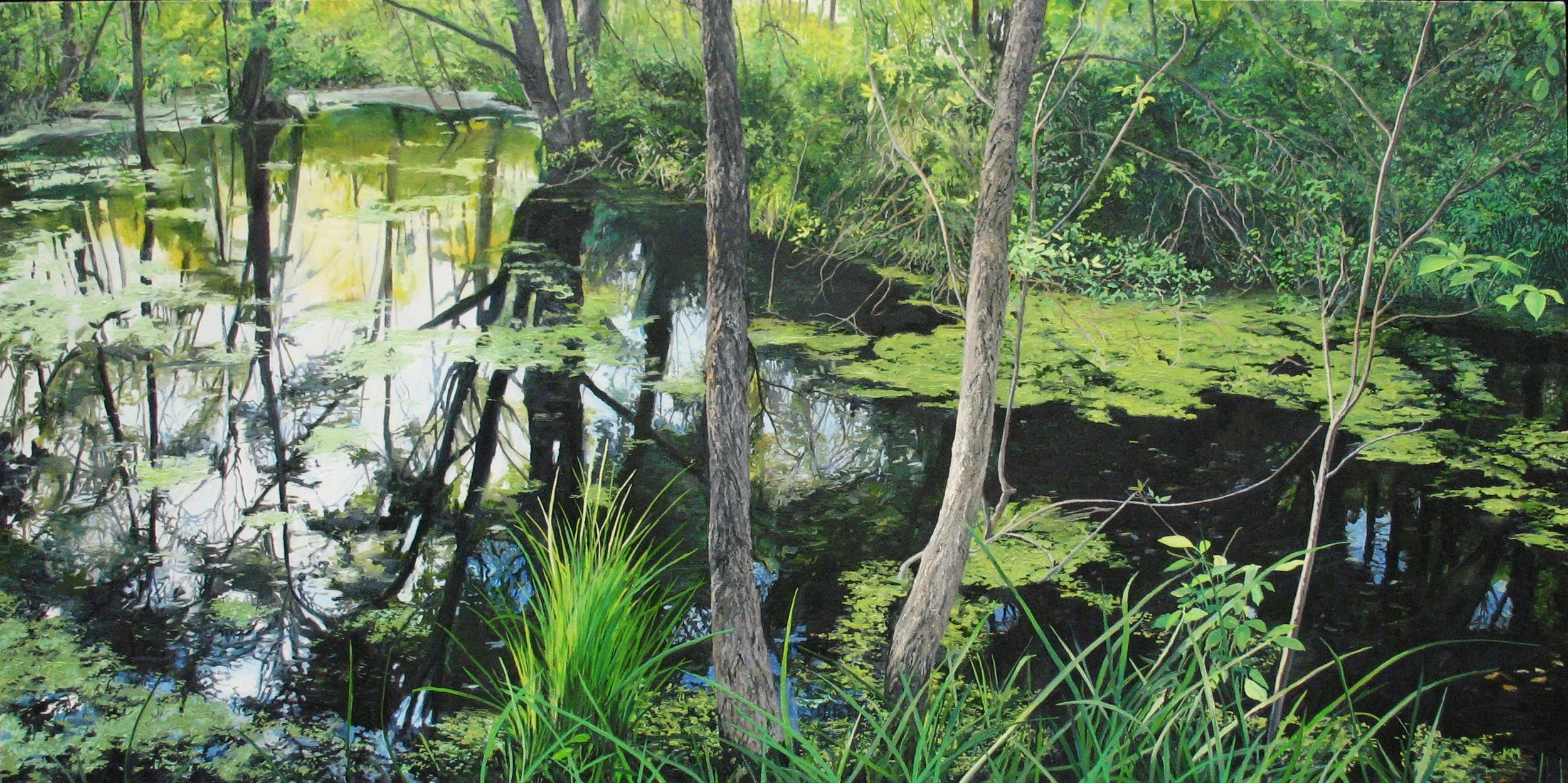 Muente_Summer Tim's Pond.jpg