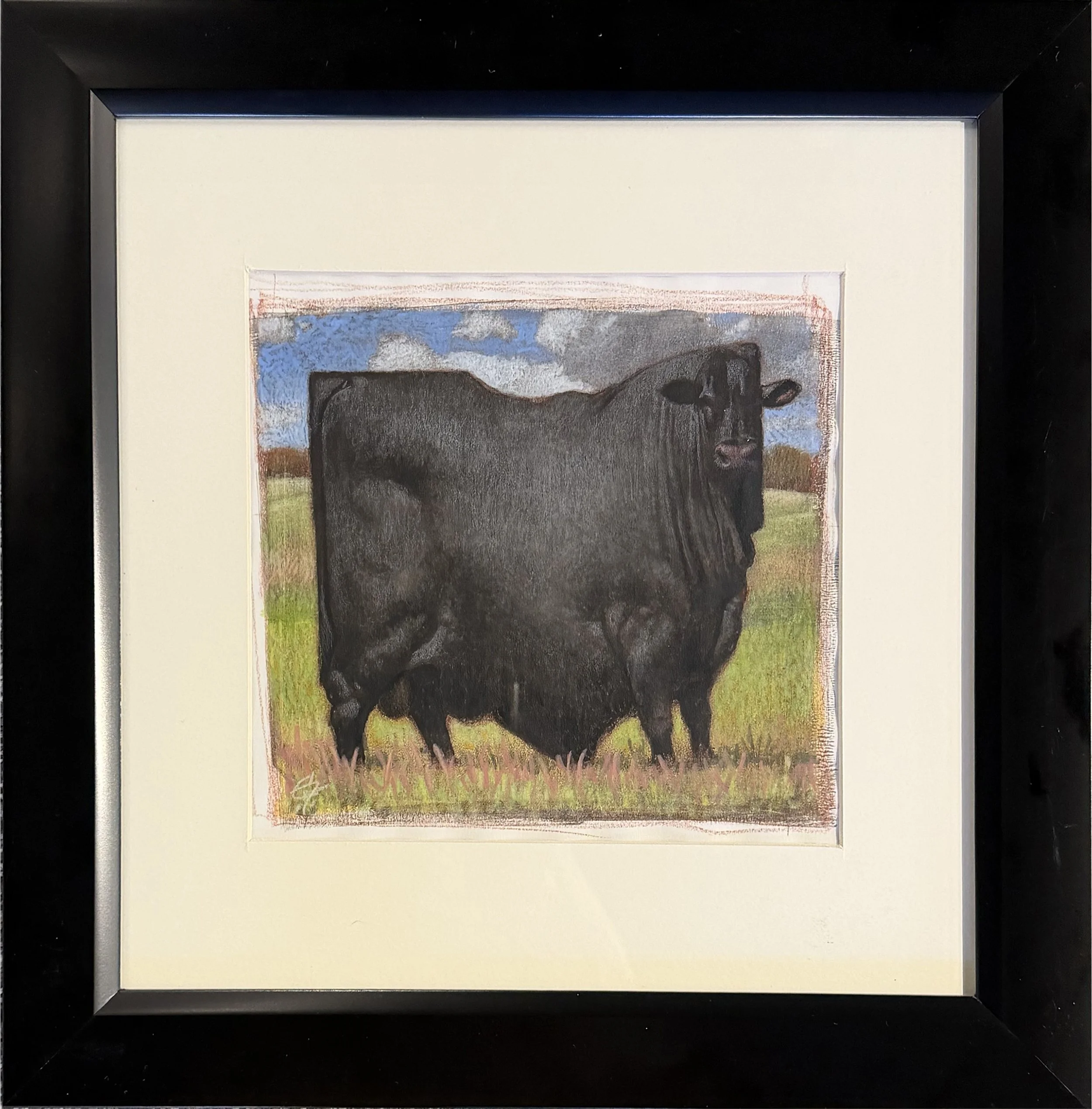 Payne.BlackOhioBull.DH5454.jpg