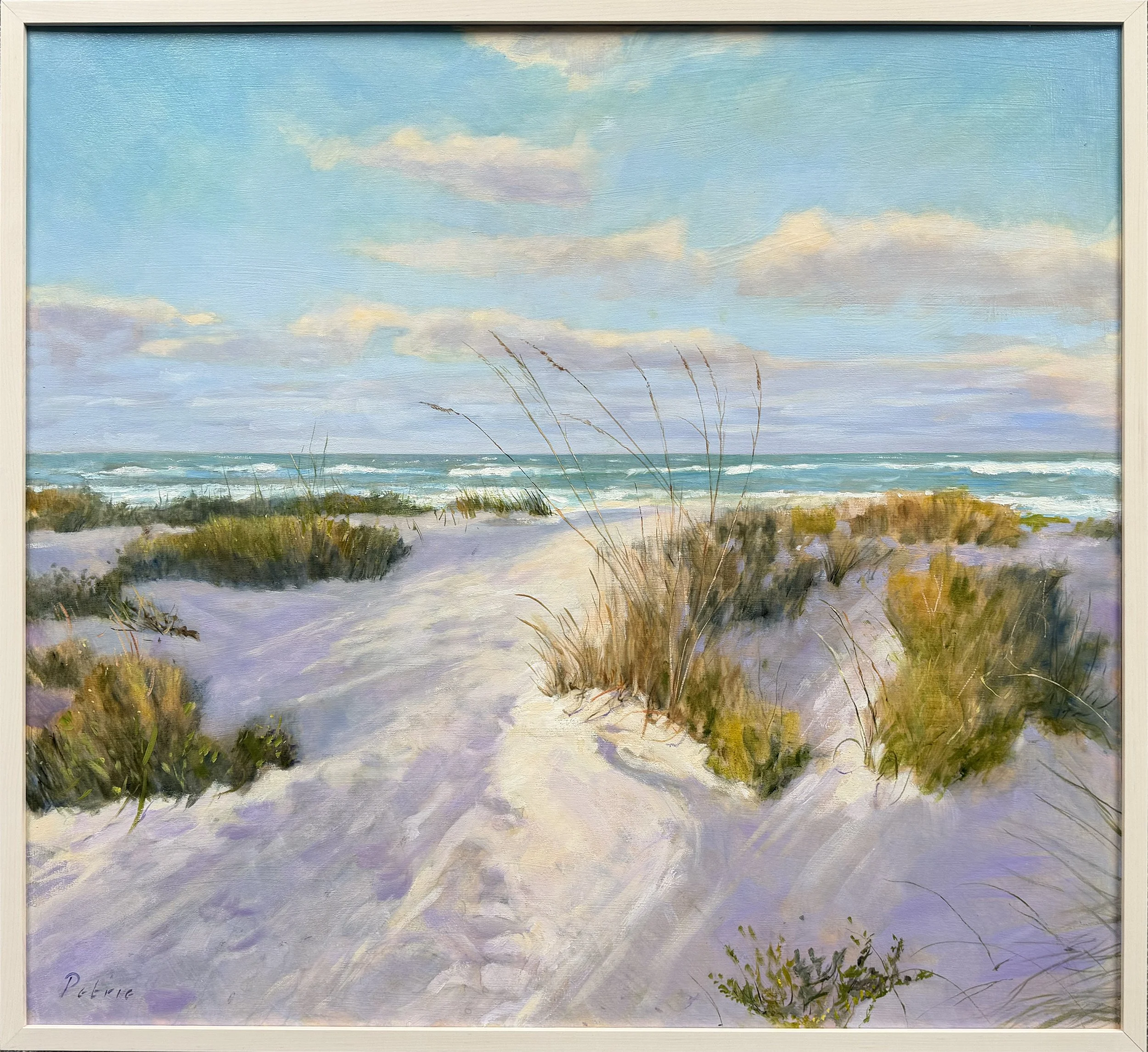 Petrie.Beach.DH5261.jpg