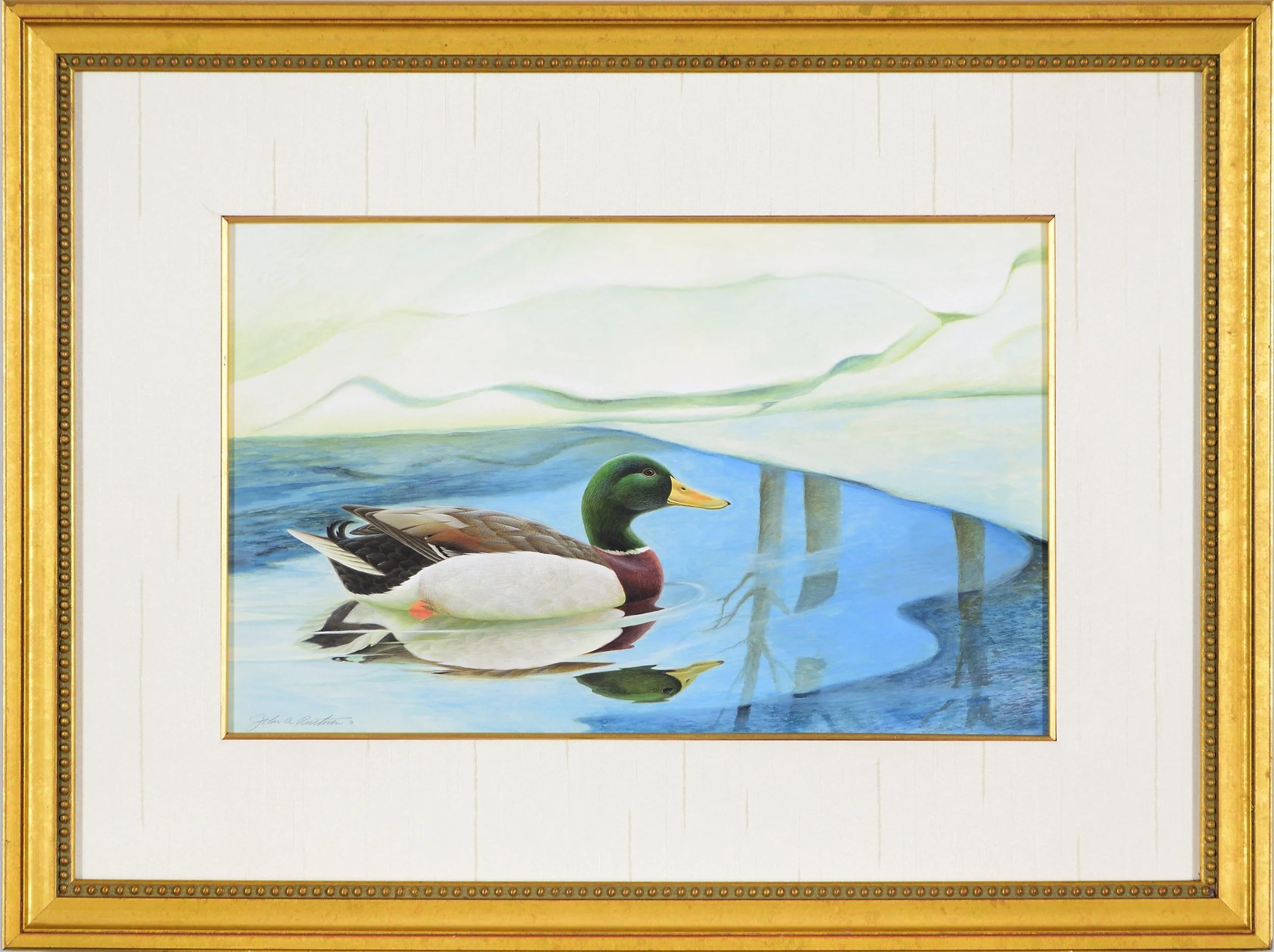 Ruthven.Waterfowl.DH5256.jpg