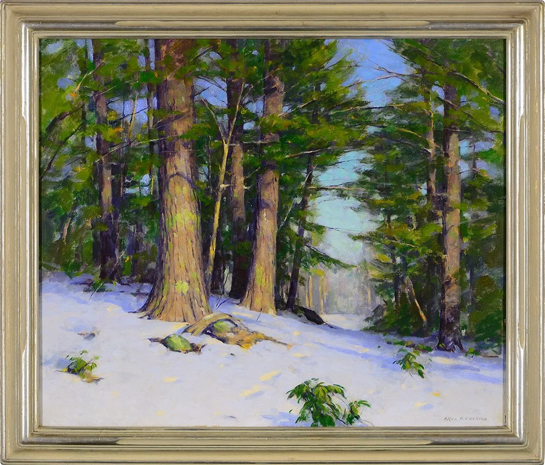 Cochran.WinterLandscape.DH4393.LR.jpg