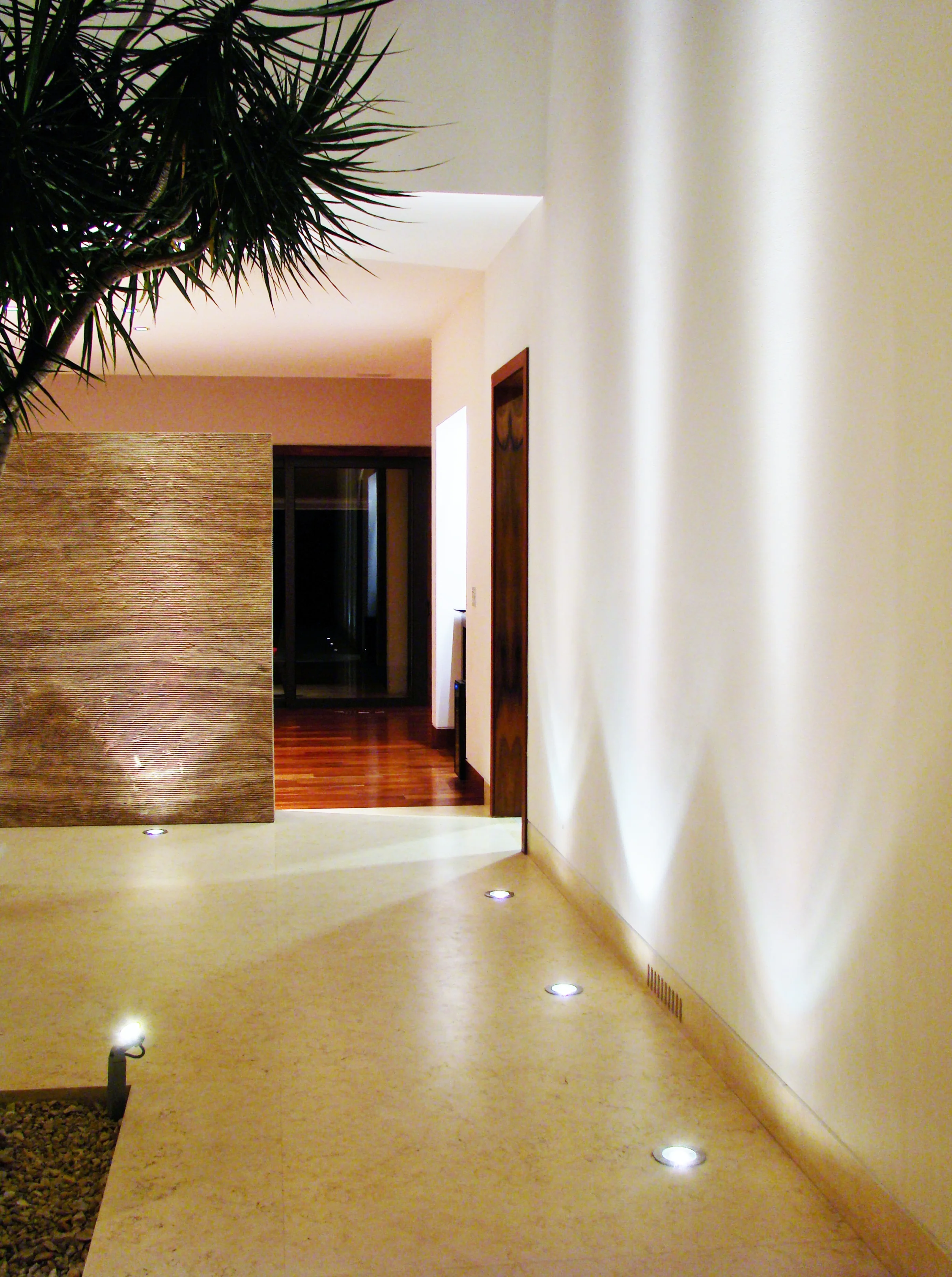 DSC01328 buena (2).jpg