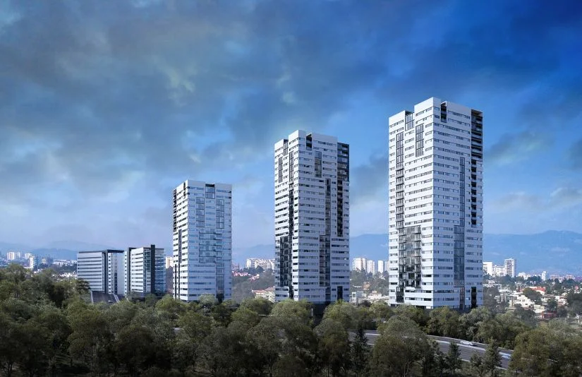 Bosque Cuajimalpa 2018-2019