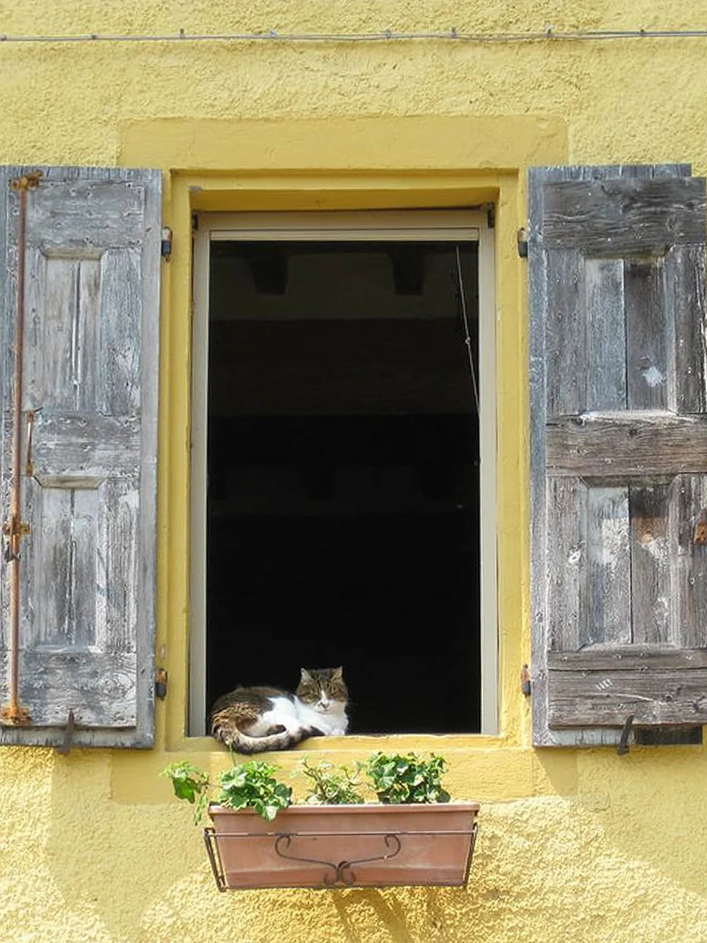 About Chi Siamo — Portland+Bologna