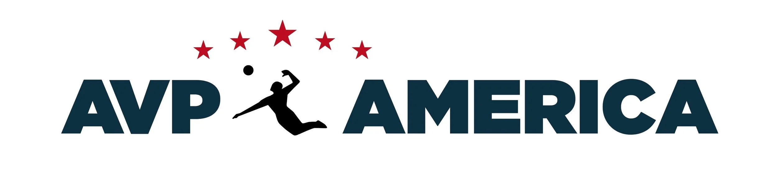 AVP-America_longweblogo.jpg