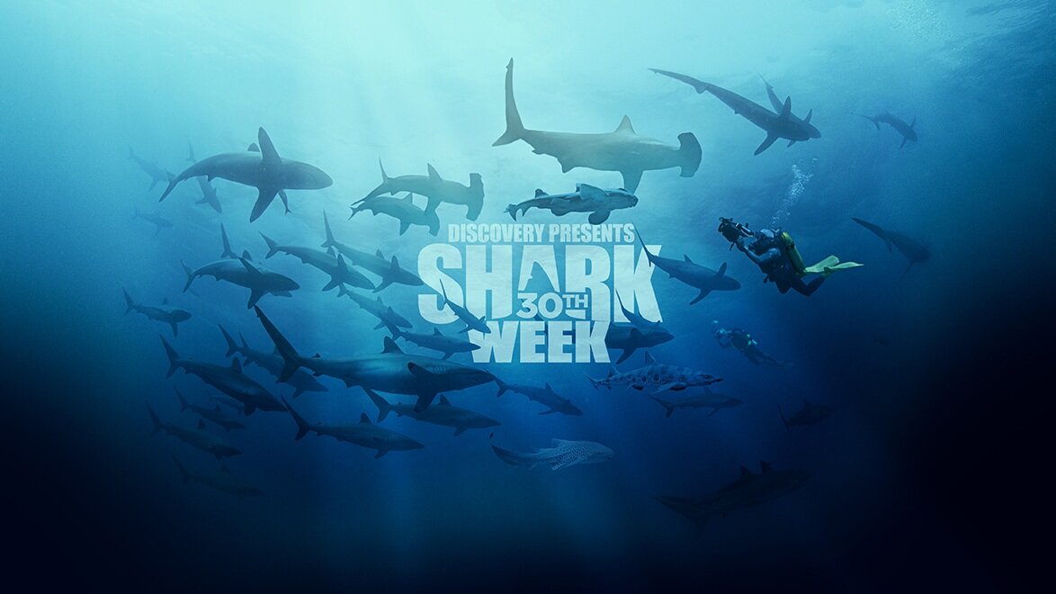 Shark week. Неделя акул. Discovery channel Россия акулы. Shark week Discovery.