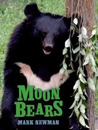 Moon Bears.jpg