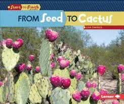 From Seed to Cactus.jpg