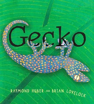 Gecko.jpg