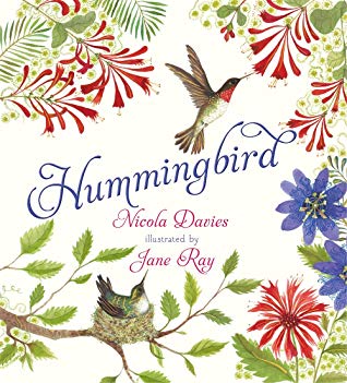 Hummingbird.jpg