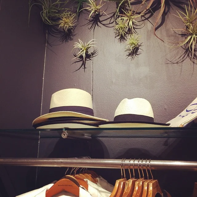 #tbt to the original @BananaRepublic who sold safari clothes and their stores' decor had the same motif. #bananarepublic #safari #fashion #welcometothejungle