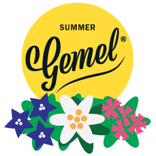 SUMMER Gemel - Winner of Innovation Award in Tourism 