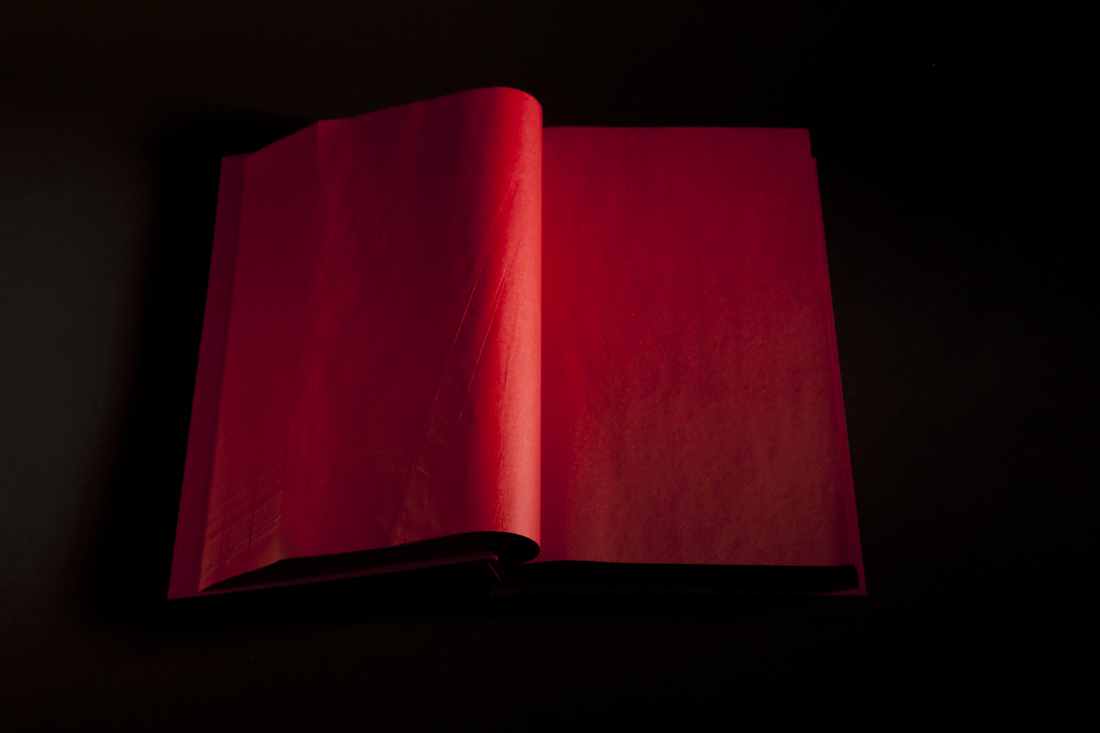8 libro rojo.jpg