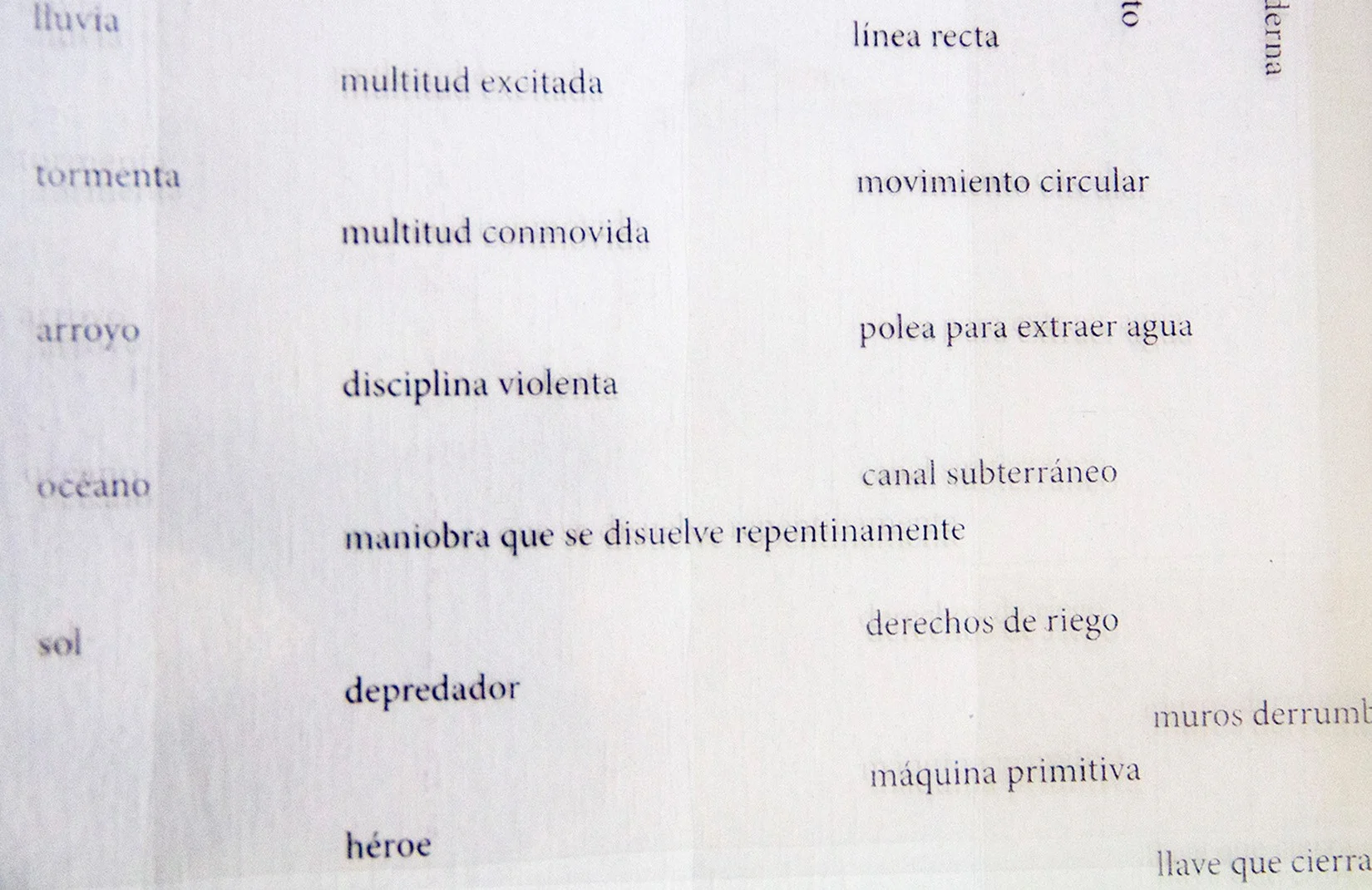 13925861_1209009205796123_5668494053247512256_o.jpg