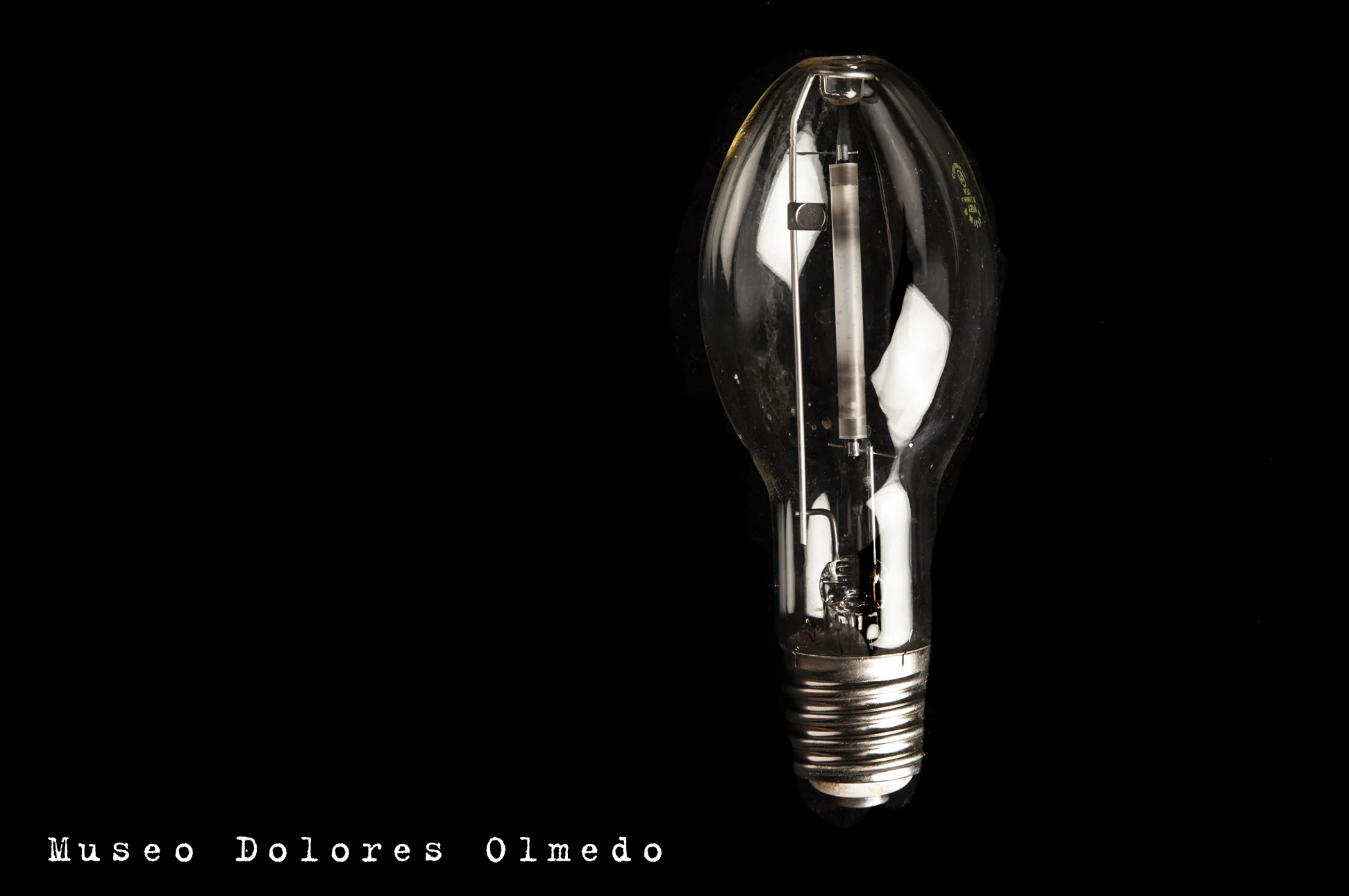 luminarias_museo dolores olmedo.jpg