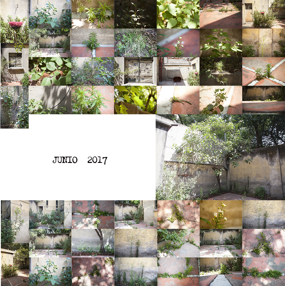 JUNIO.jpg