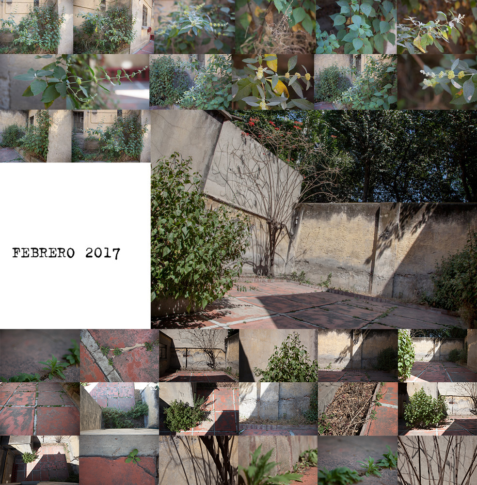 febrero bordes .jpg