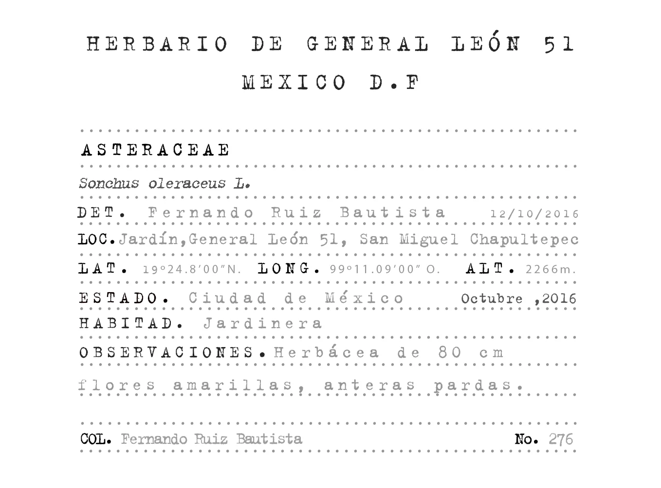 276.jpg