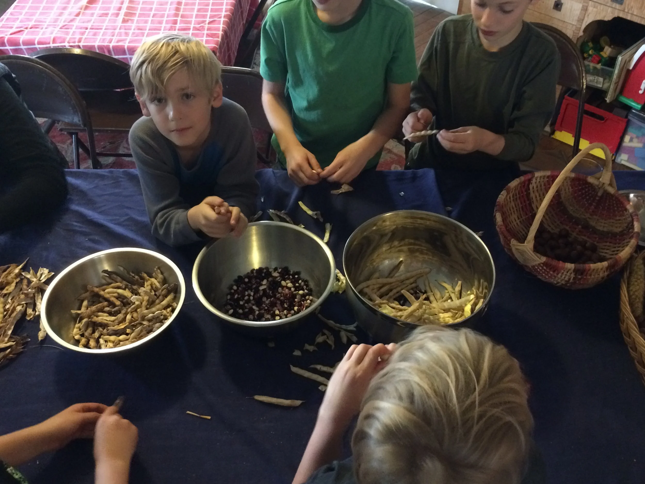 School Group Students help sort seeds for winter storage