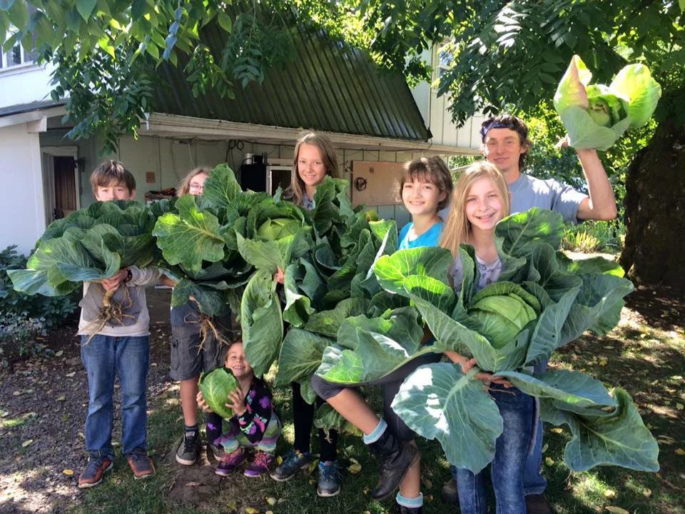 cabbage patch kids.jpg