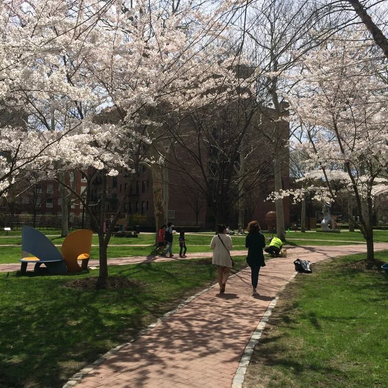 pratt institute sculpture park