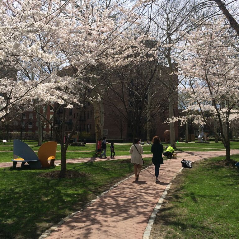 Saturday: Crushing Clinton Hill
