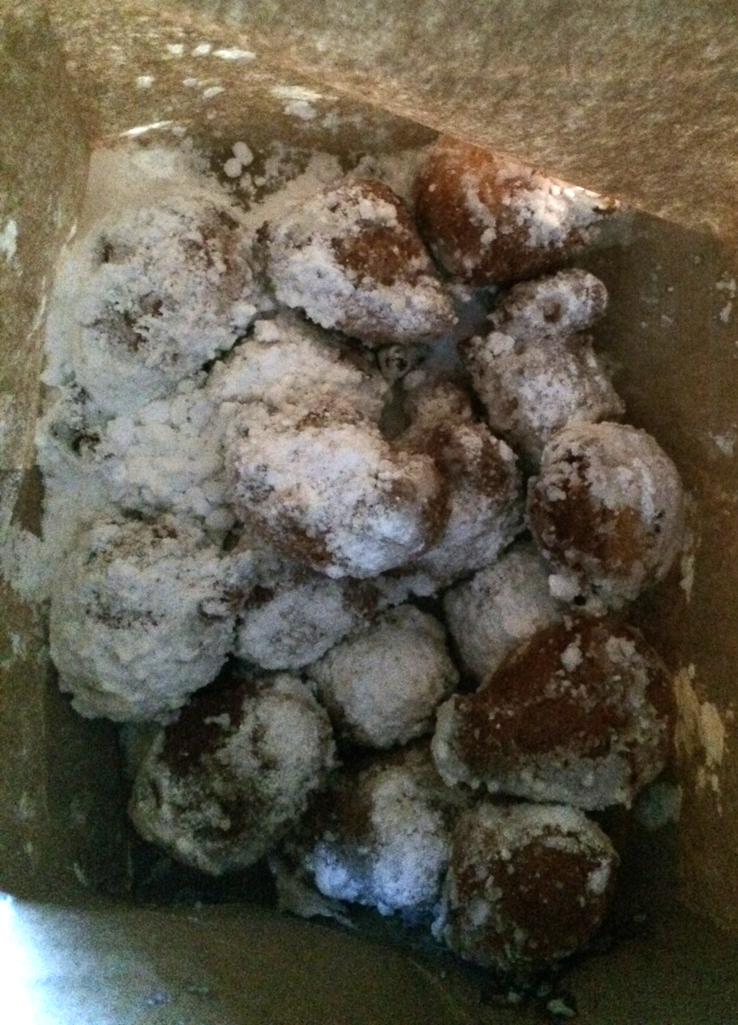 bag full 'o beignets