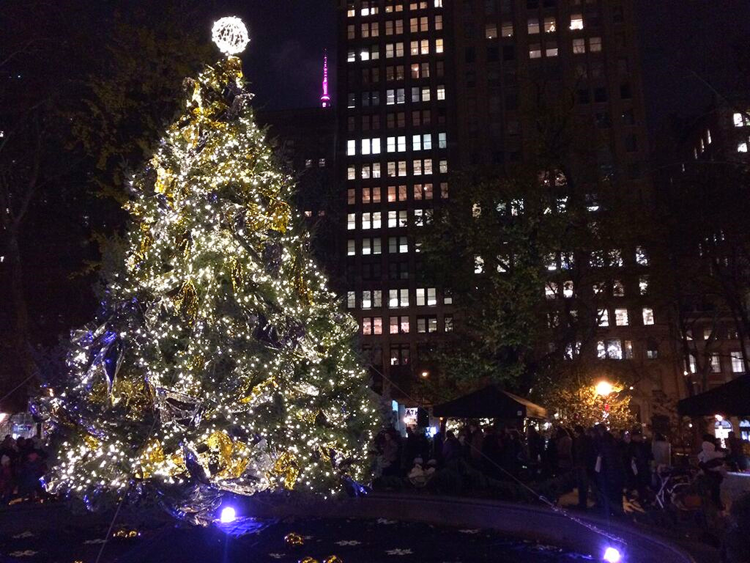 the tree at madison square park