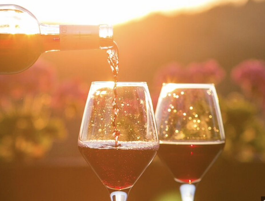 Wine Tasting Under the Stars — Yoga on the Vine