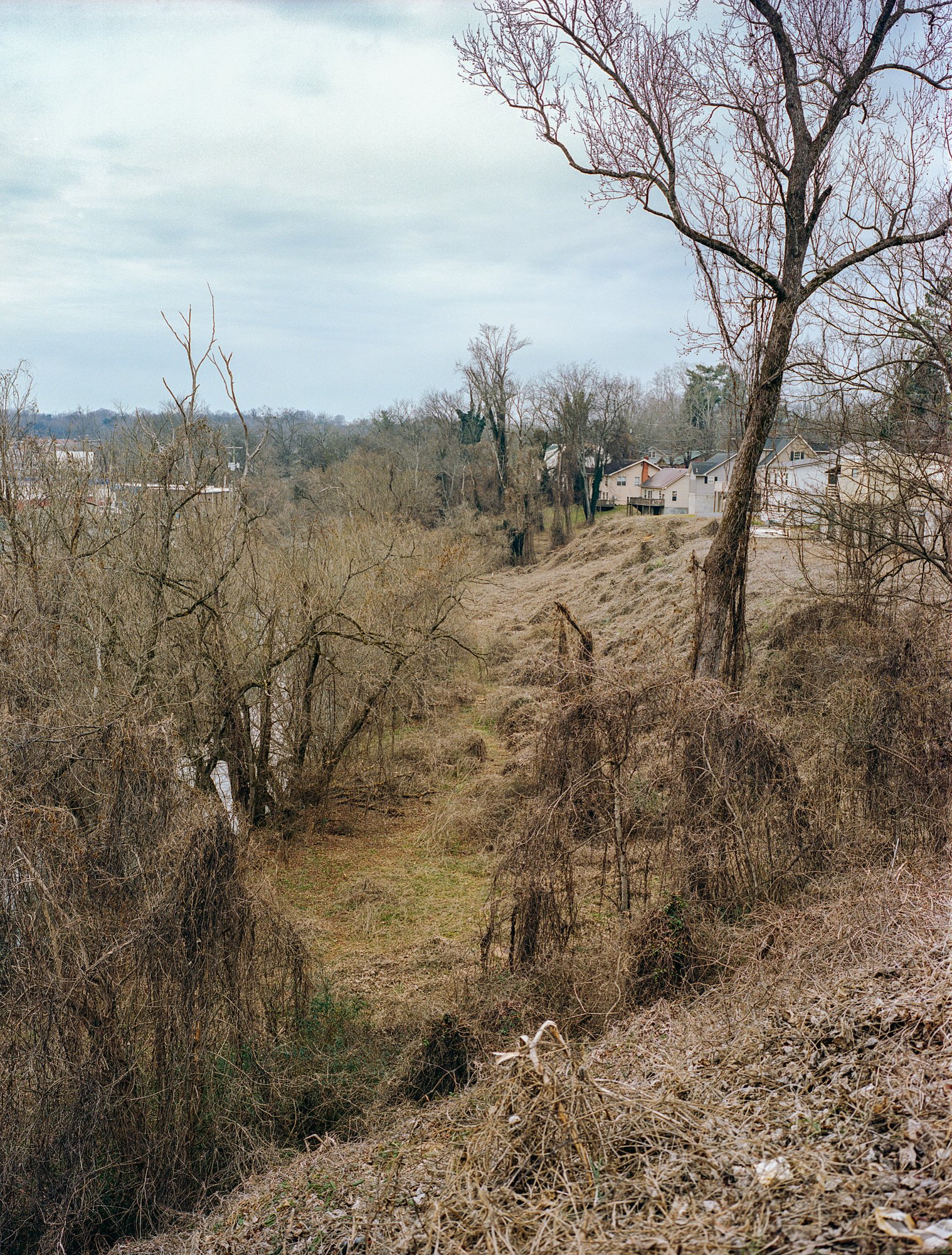 raw0037_CP.jpg