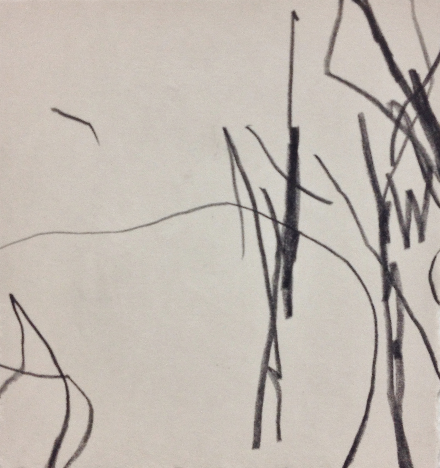 Graphite on paper, 2015 6 in. x 6 in.