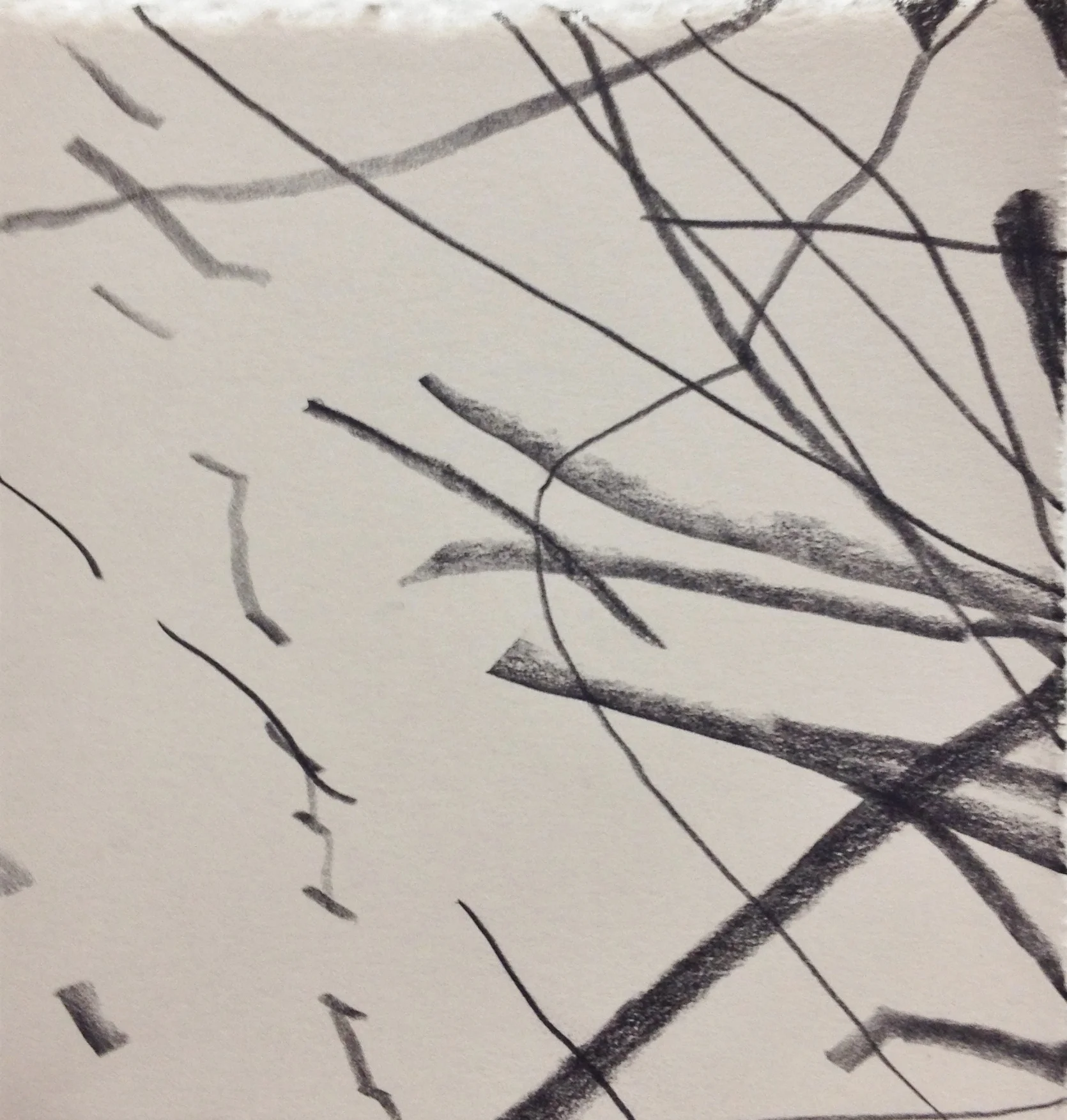 Graphite on paper, 2015 6 in. x 6 in.