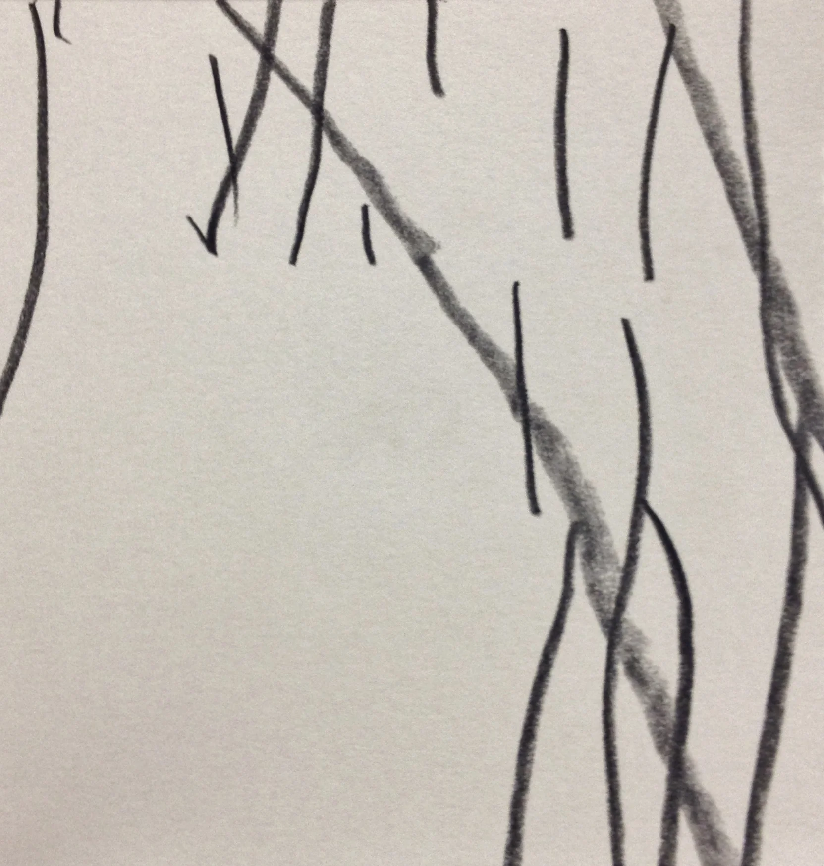 Graphite on paper, 2015 6 in. x 6 in.