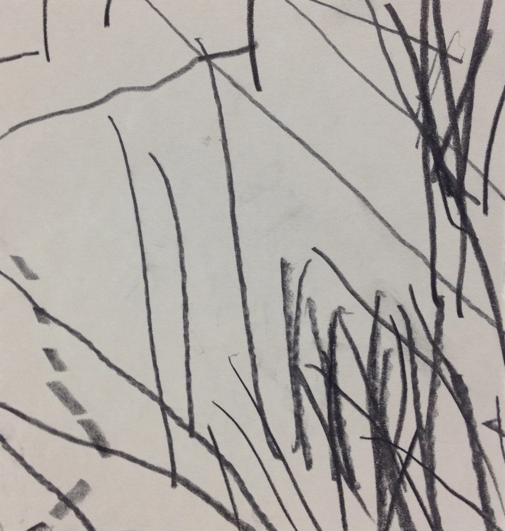 Graphite on paper, 2015 6 in. x 6 in.