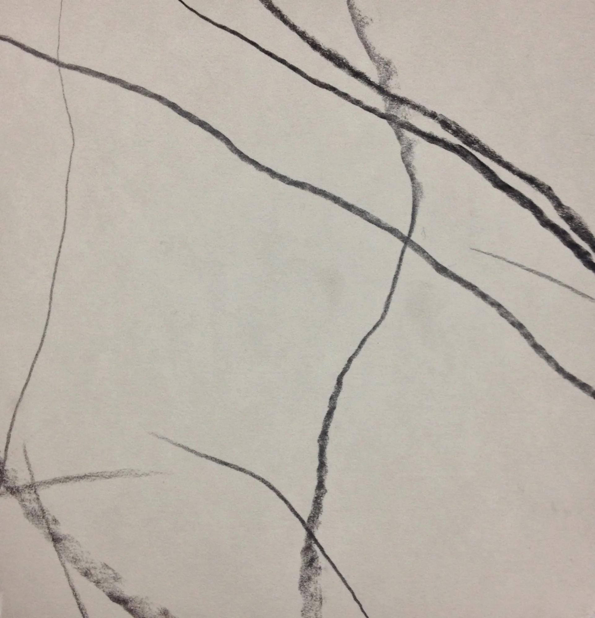 Graphite on paper, 2015 6 in. x 6 in.