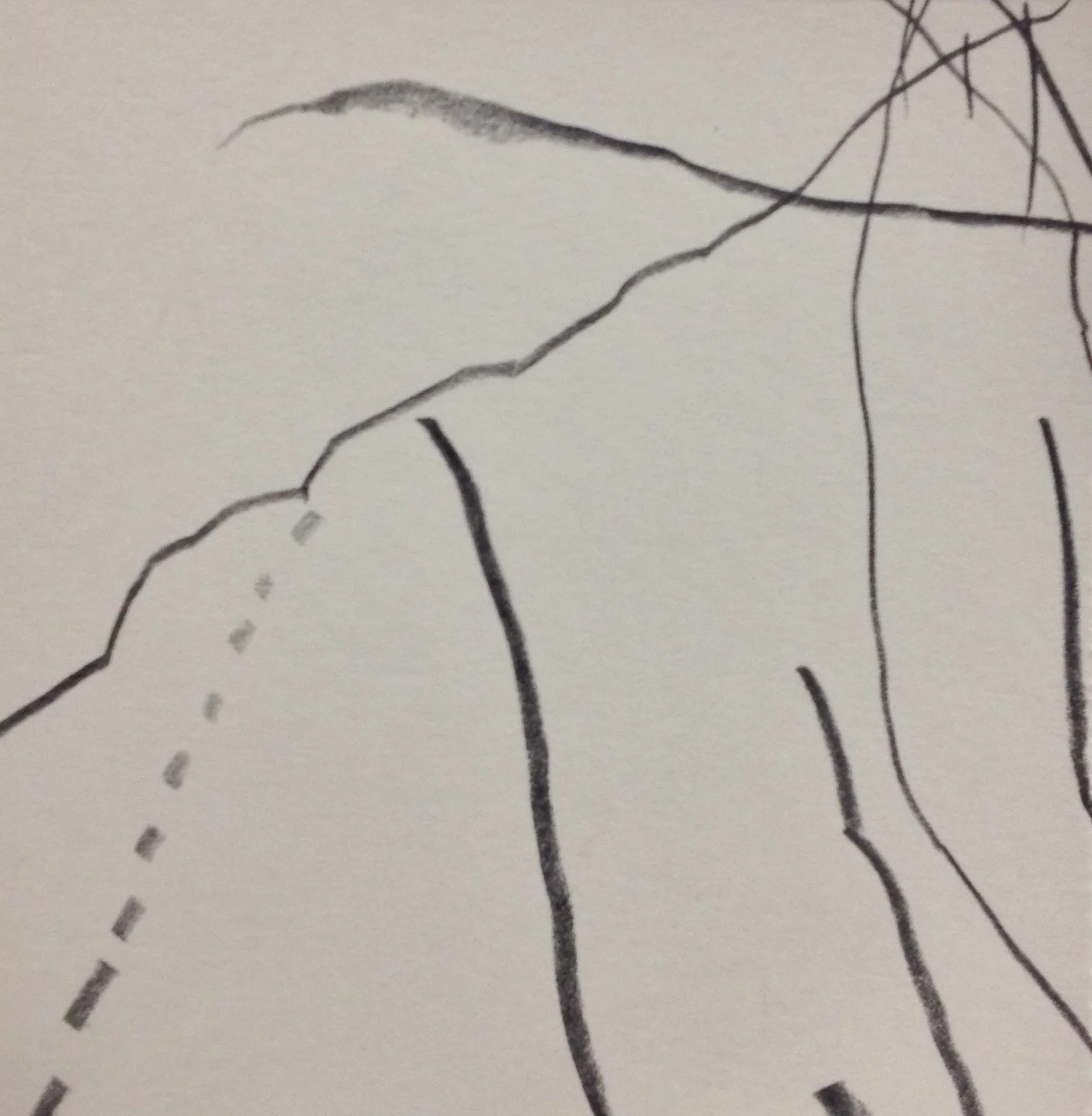 Graphite on paper, 2015 6 in. x 6 in.