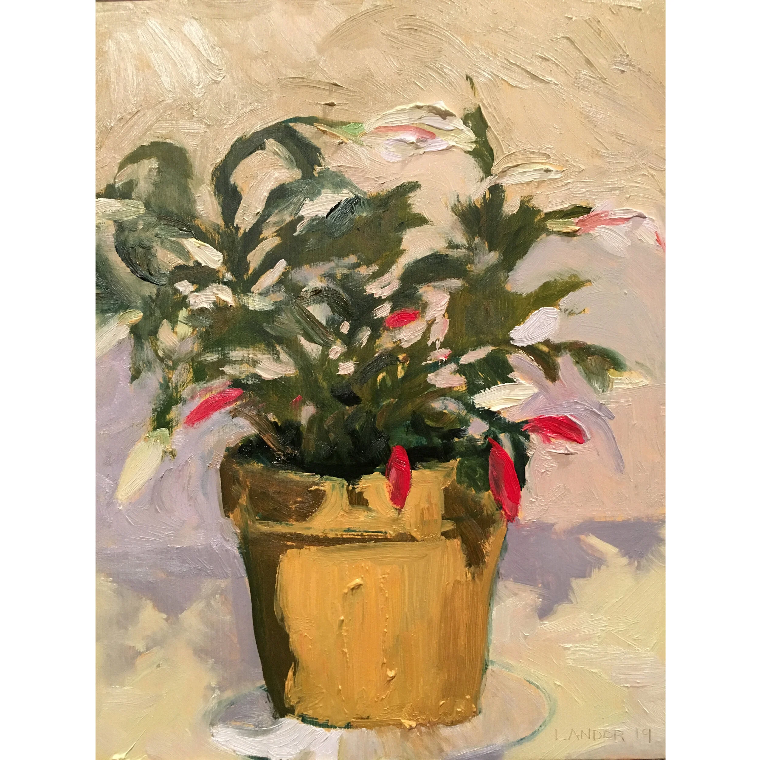 Christmas Cactus 2019 Square.jpg
