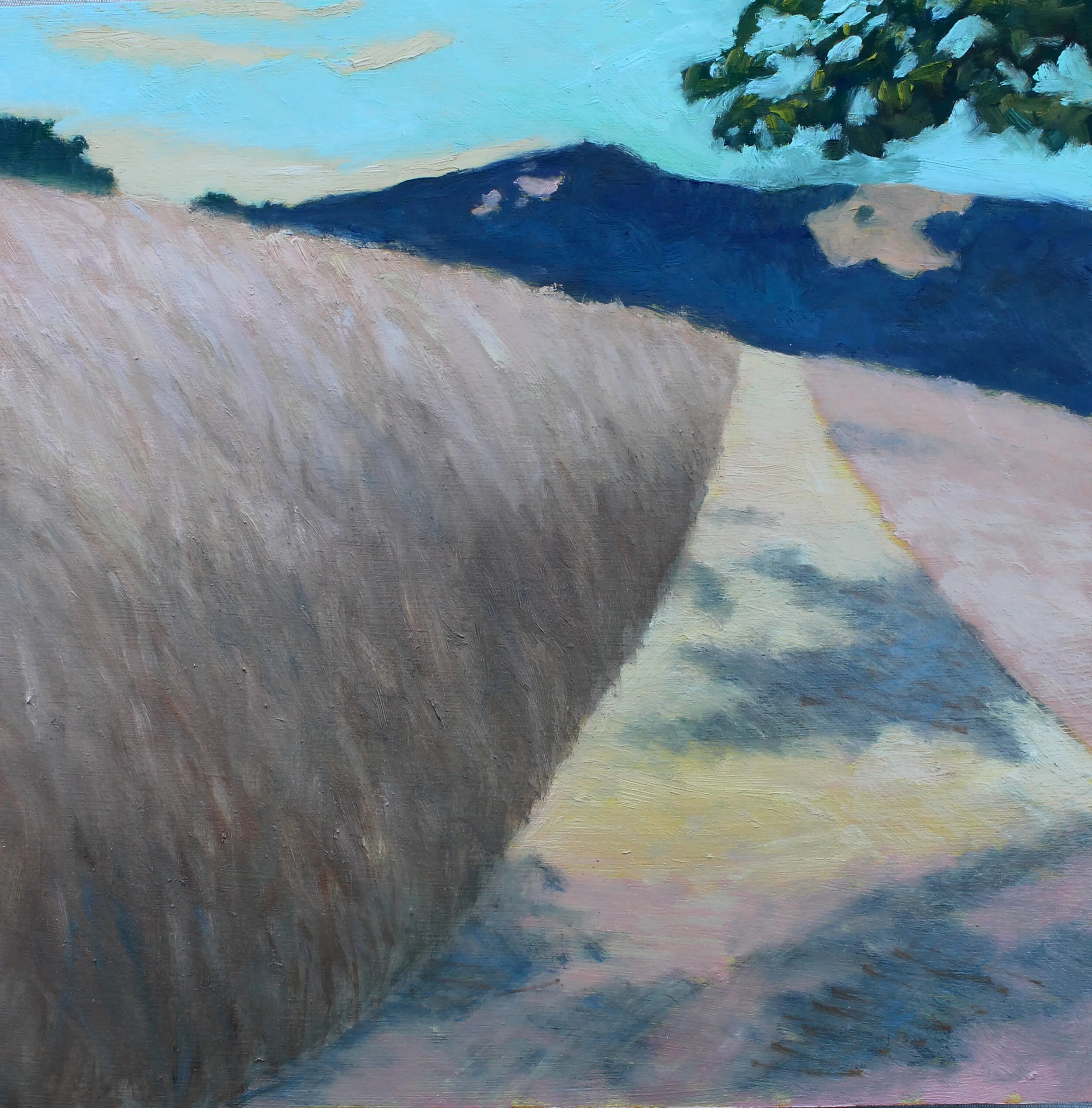 Sonoma Dreamland.jpg