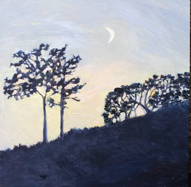 New Moon.jpg
