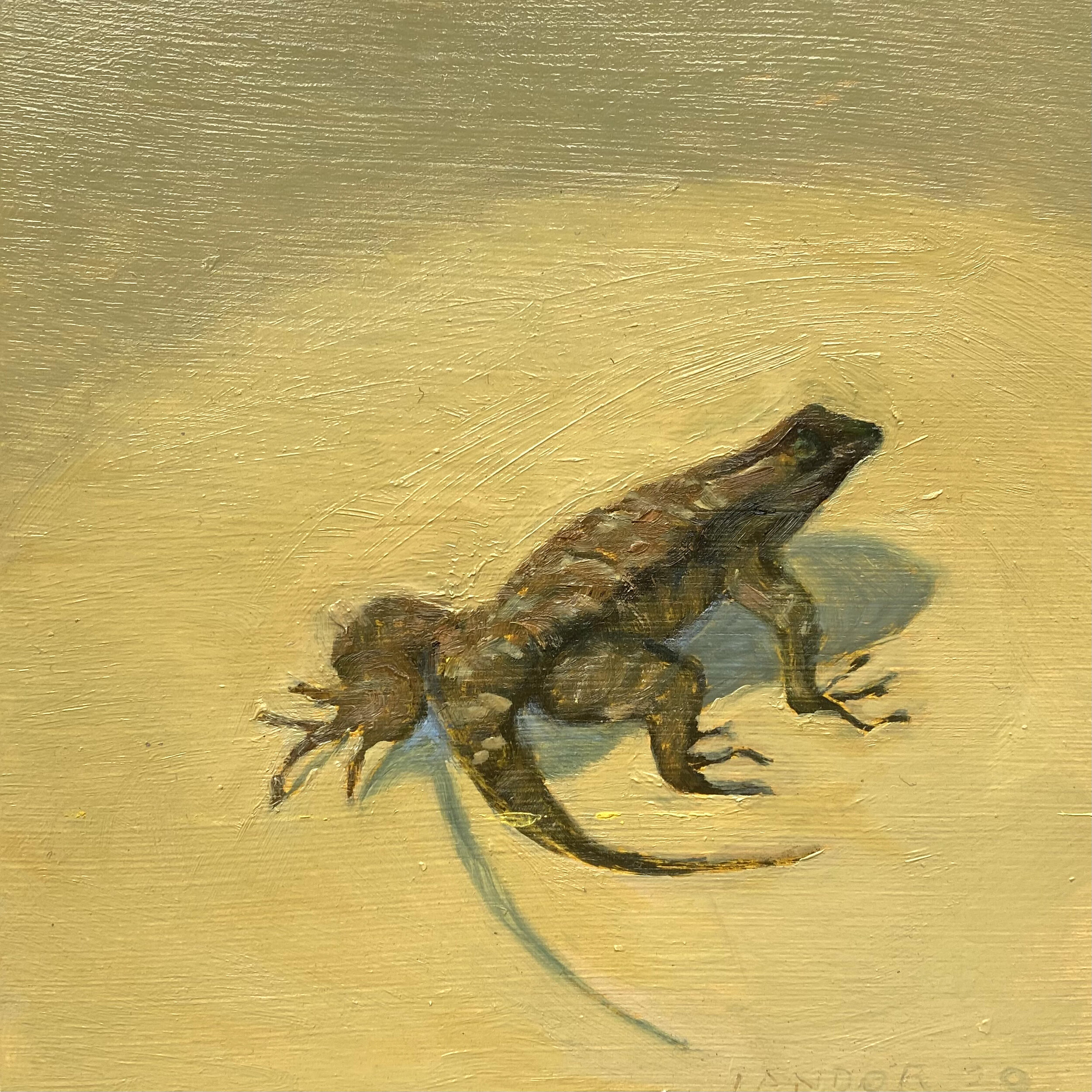 Lizard.jpg