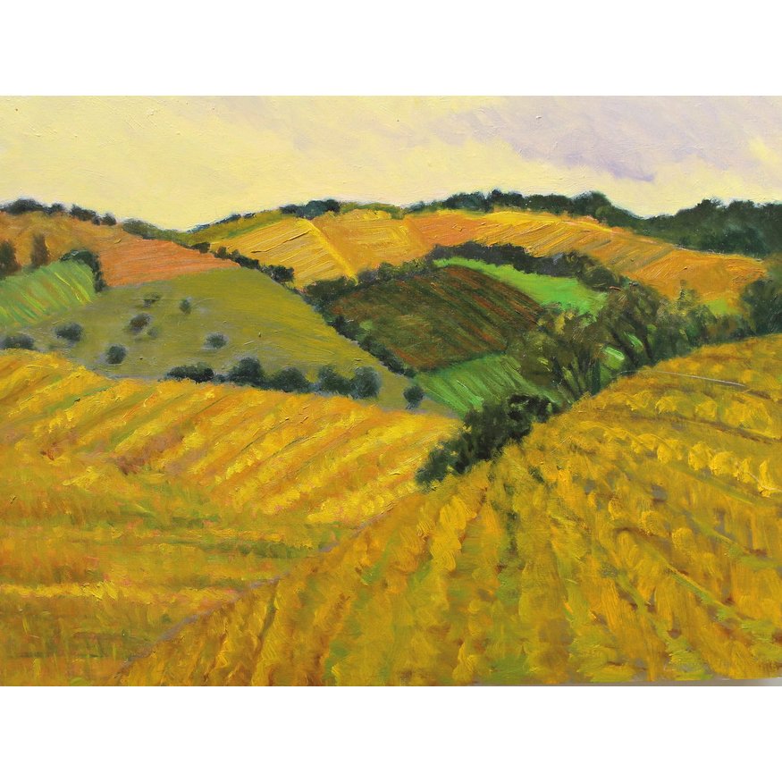 Wine Country Squarejpg.jpg
