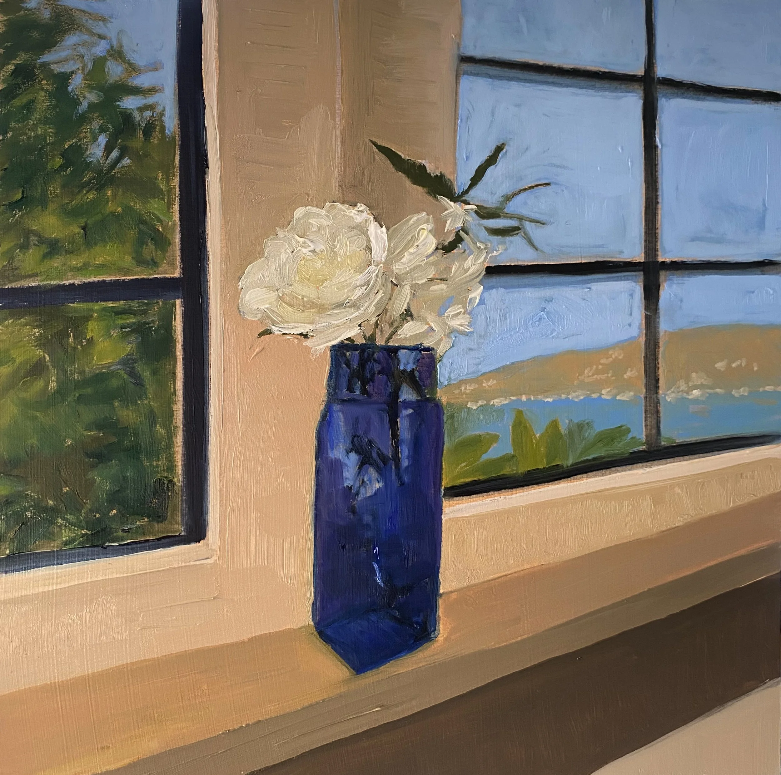 Kitchen Window 6 13 23.jpg