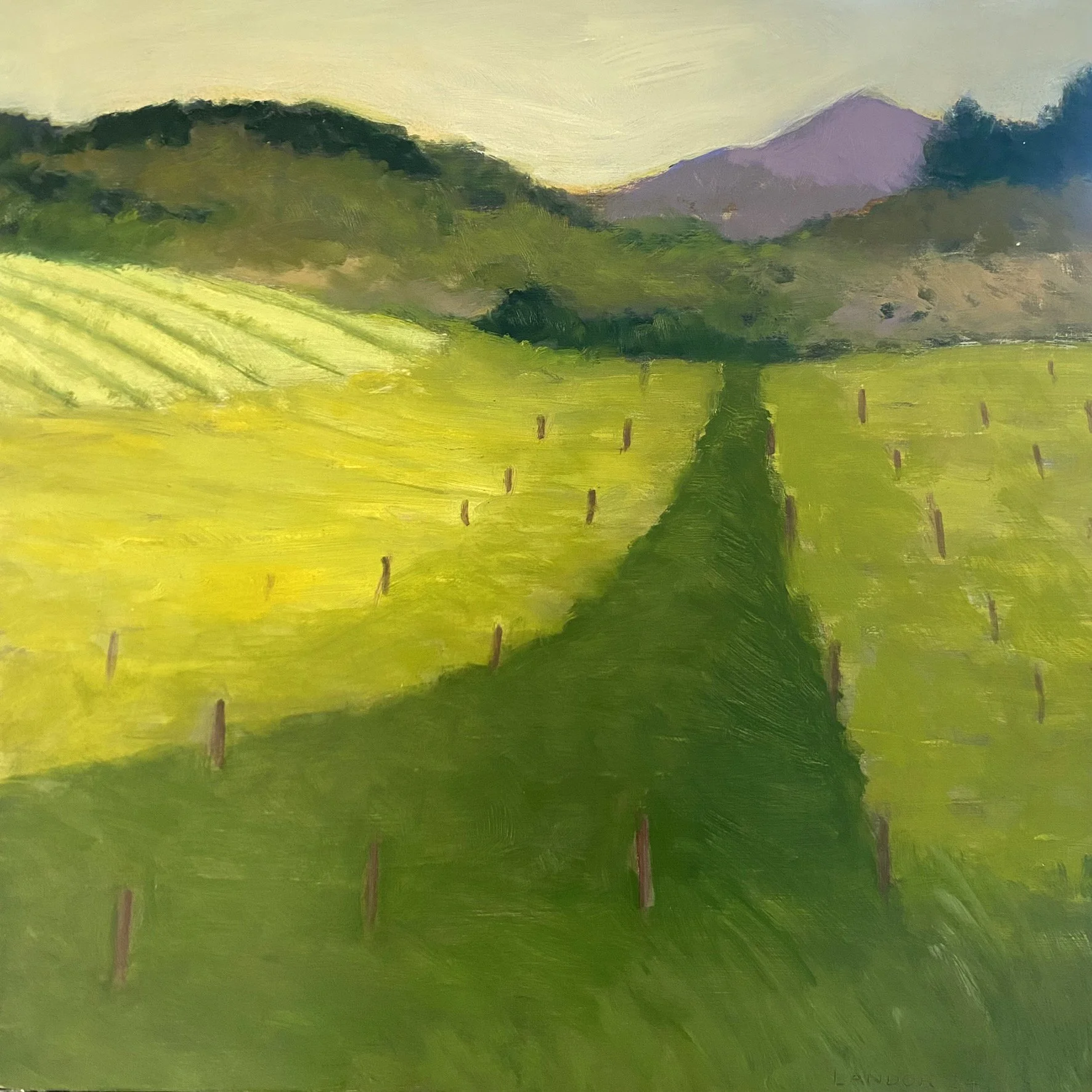 Spring Green 2024.jpg