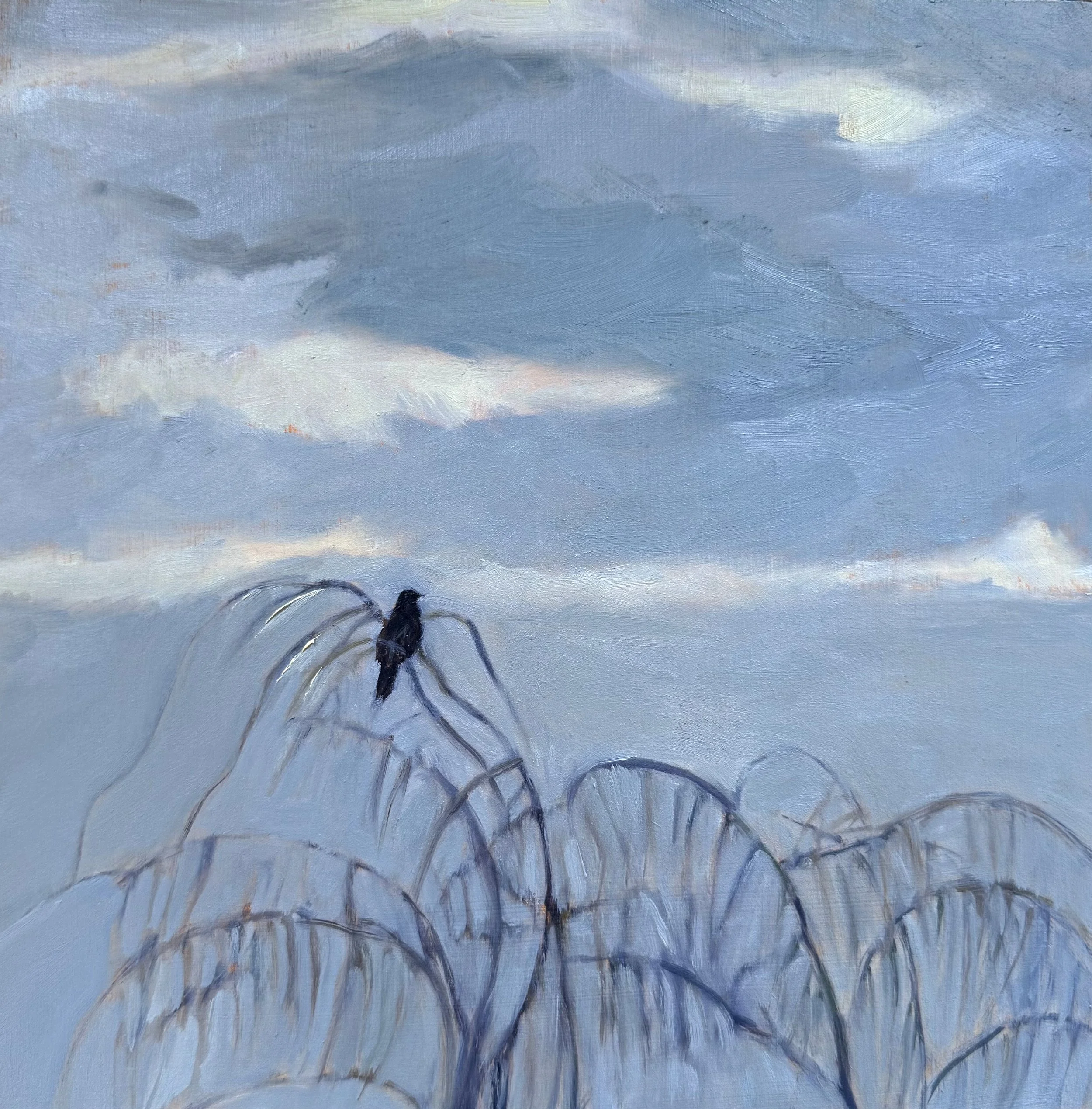 January 28 Morning.jpg