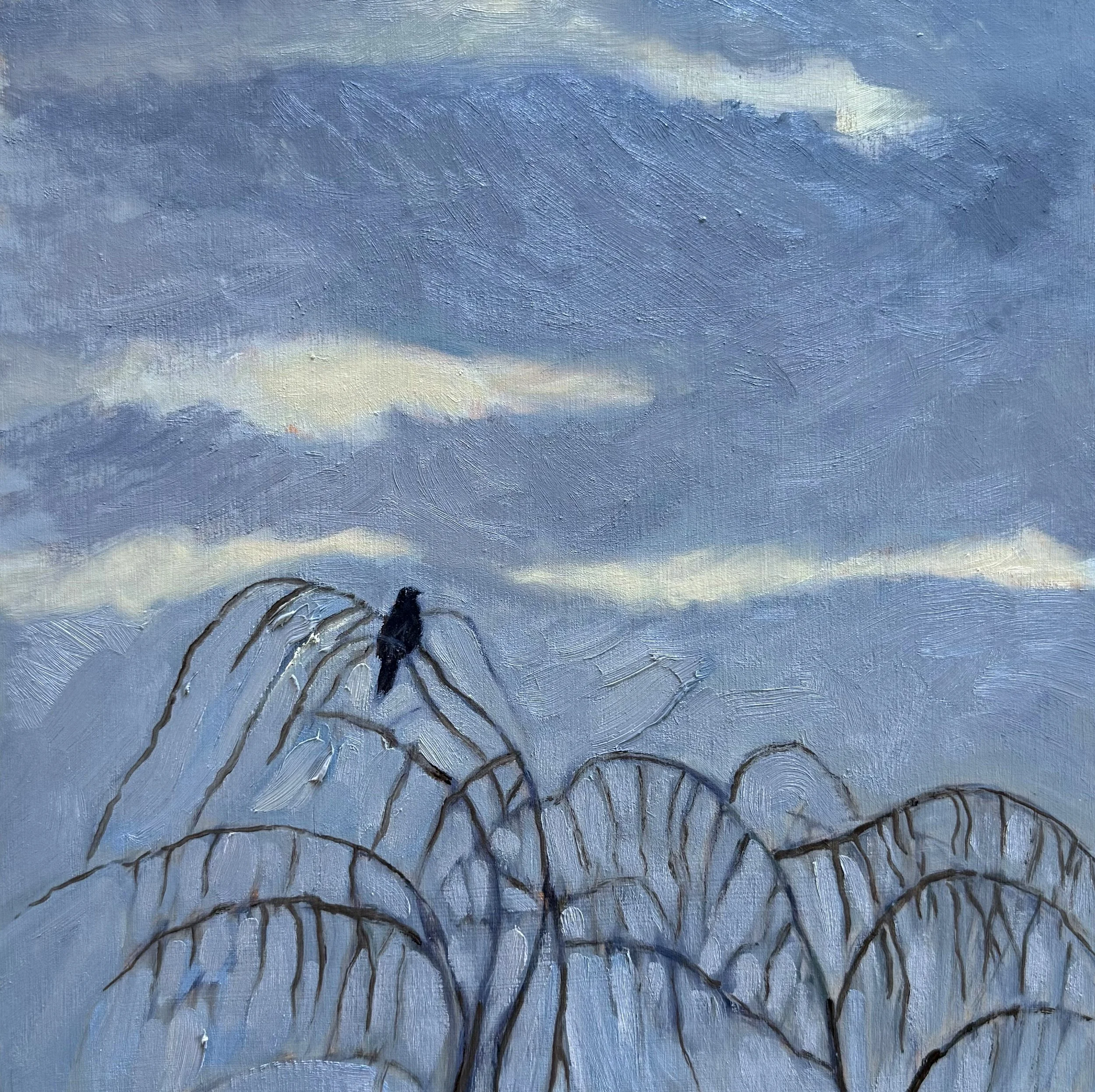 January 28 2026 revised.jpg