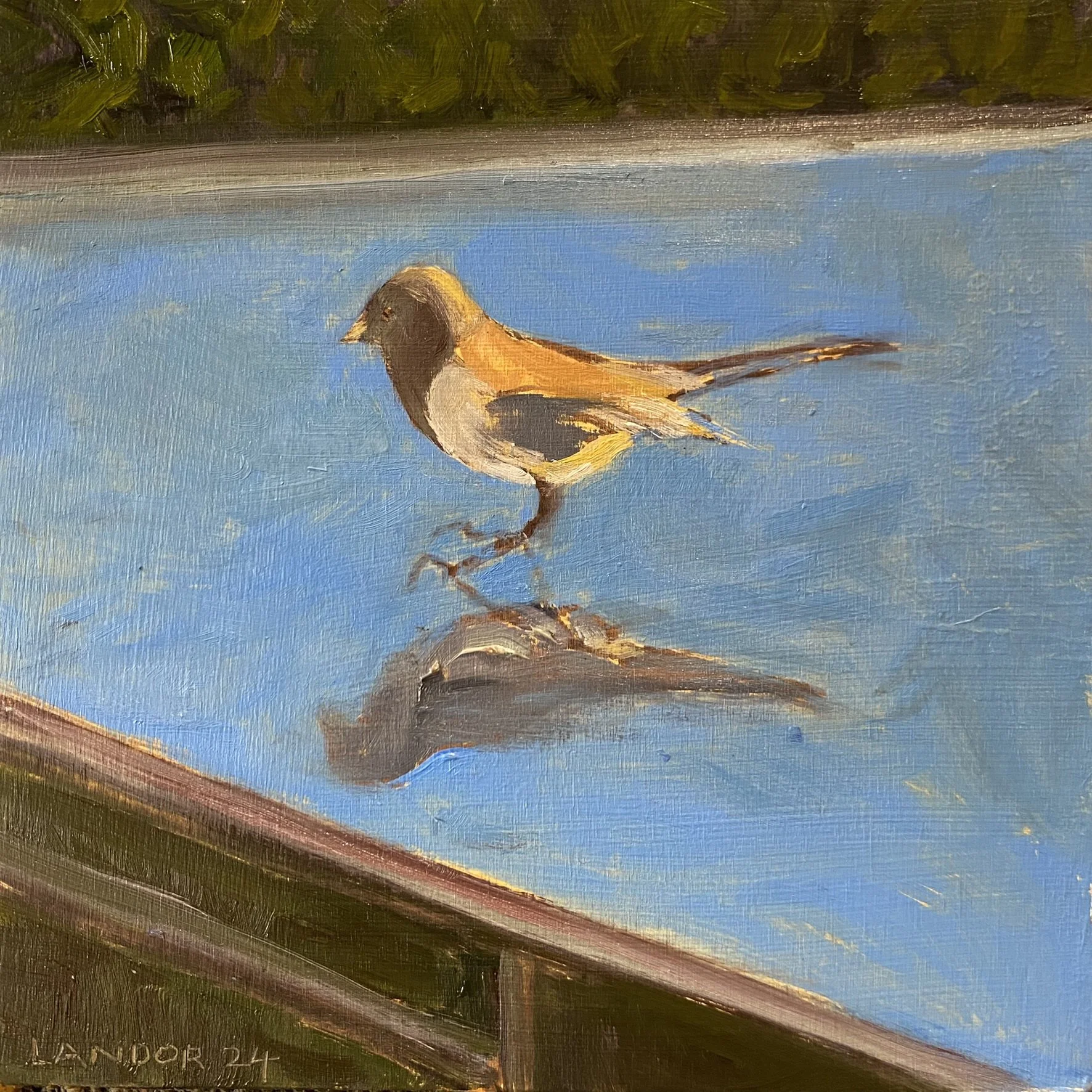 Bird Business as Usual.jpg